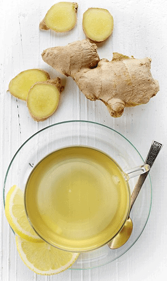 infusion de gingembre