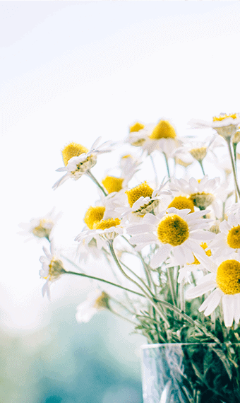 bouquet de fleurs