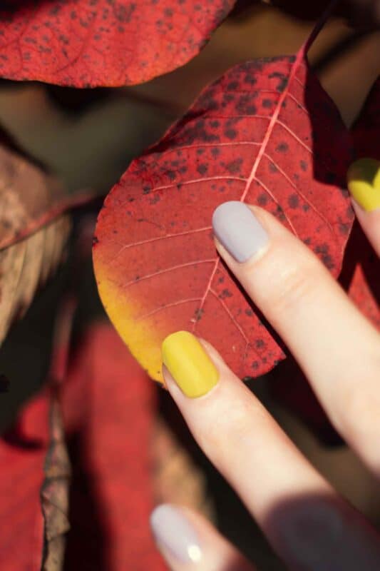 avantages et inconvénients du vernis semi permanent : ongles vernis sur une feuille d'arbre